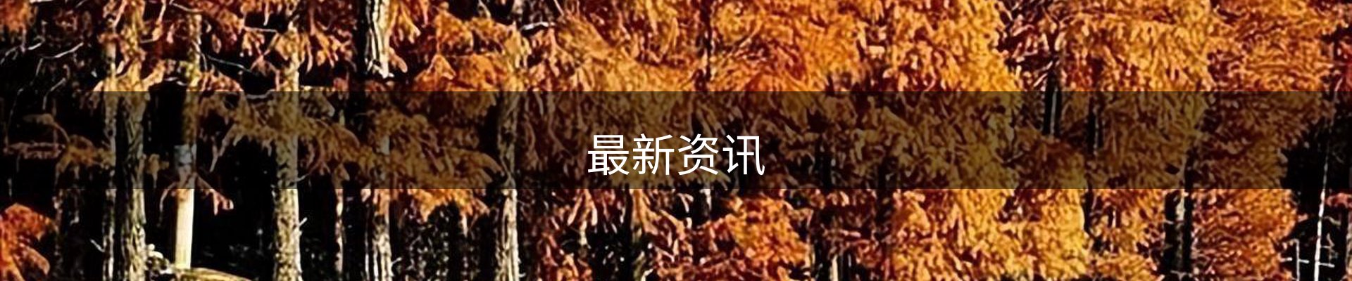 最新资讯